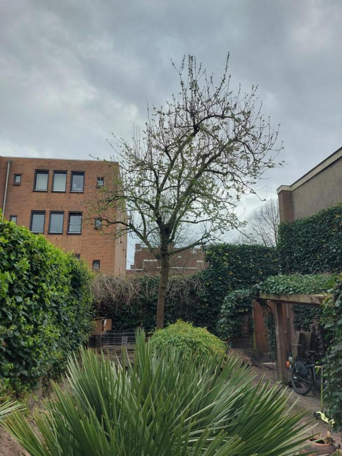 Saya Boutique Hotel Αμερσφόρτ Εξωτερικό φωτογραφία